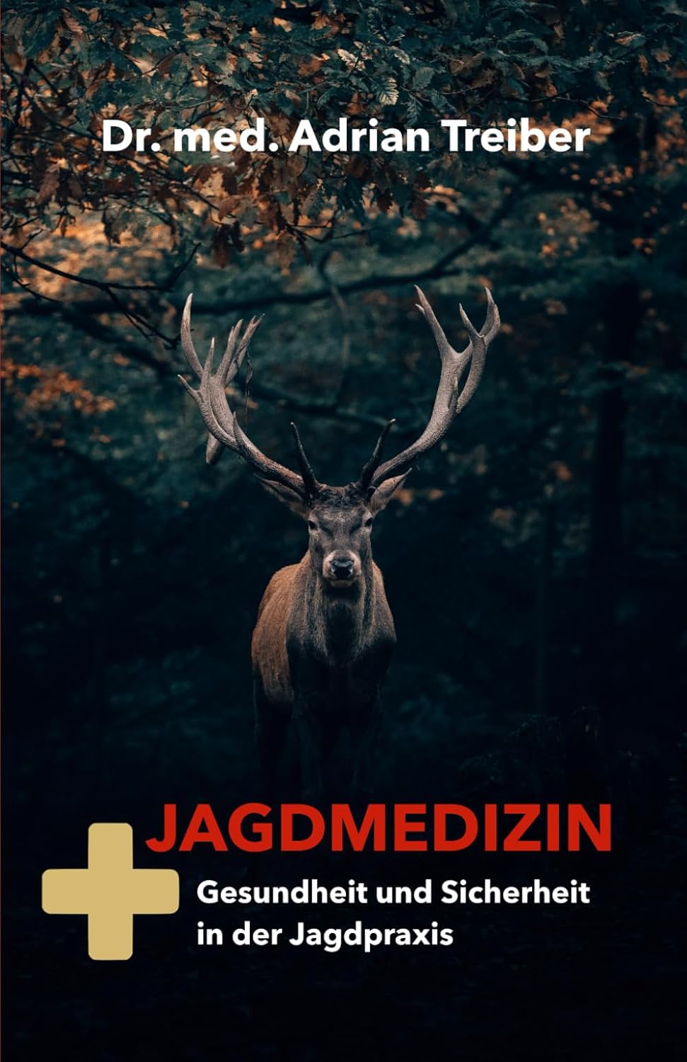 Zum Buch