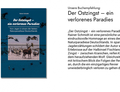 Buchrezension: „Der Ostzingst – ein verlorenes Paradies“ von Rainer Schmidt
