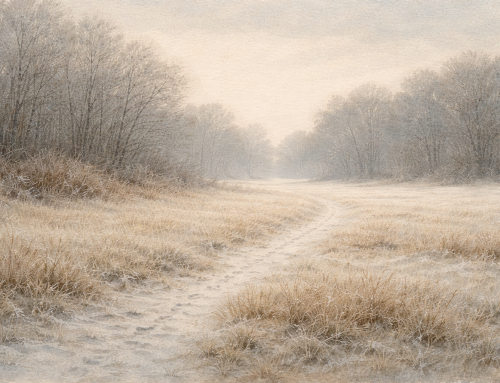 Sonntagsjagdbrief „Was wir im Januar nicht schießen, lernen wir trotzdem“