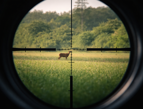 Absehen, Ballistik und Denken – Wie wir Entfernungsschätzung und Geschossflug im Praxistest analysiert haben