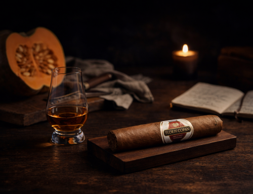 Wilde Küche 2026 – Warum Genuss für uns mehr ist als Essen